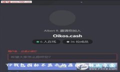 TP钱包图标不显示的原因及解决方案